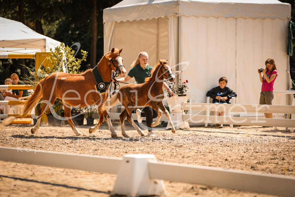 04.DoWP00114 | Leoni Ertmer Photography - Realisiert mit Pictrs.com