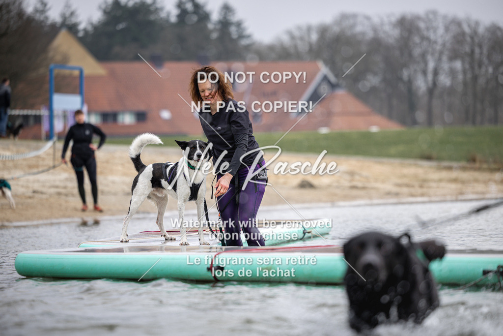 nelerasche_Hulsbeek_Sa1130-1230_651 | nelerasche