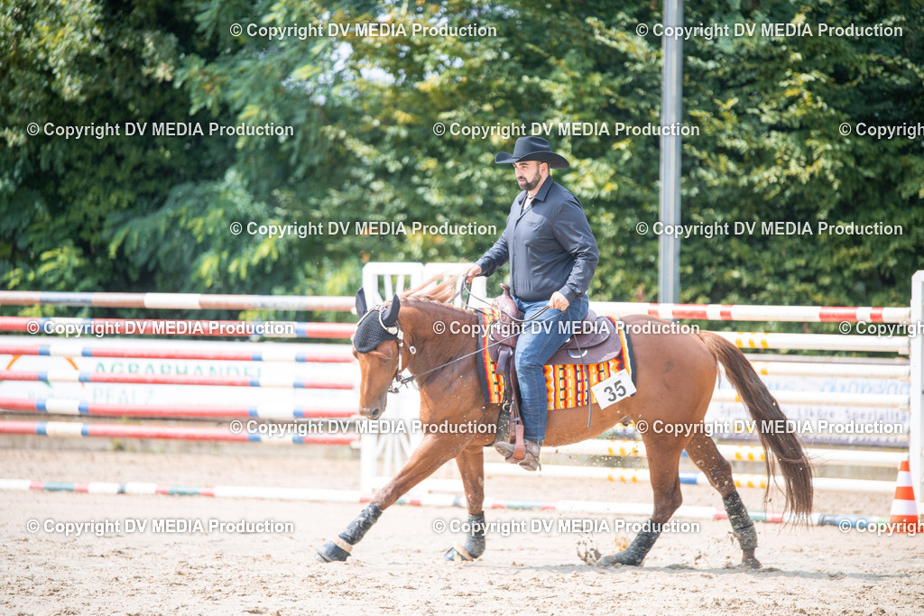 ZS2_4045 | dv-media-shop - Realisiert mit Pictrs.com