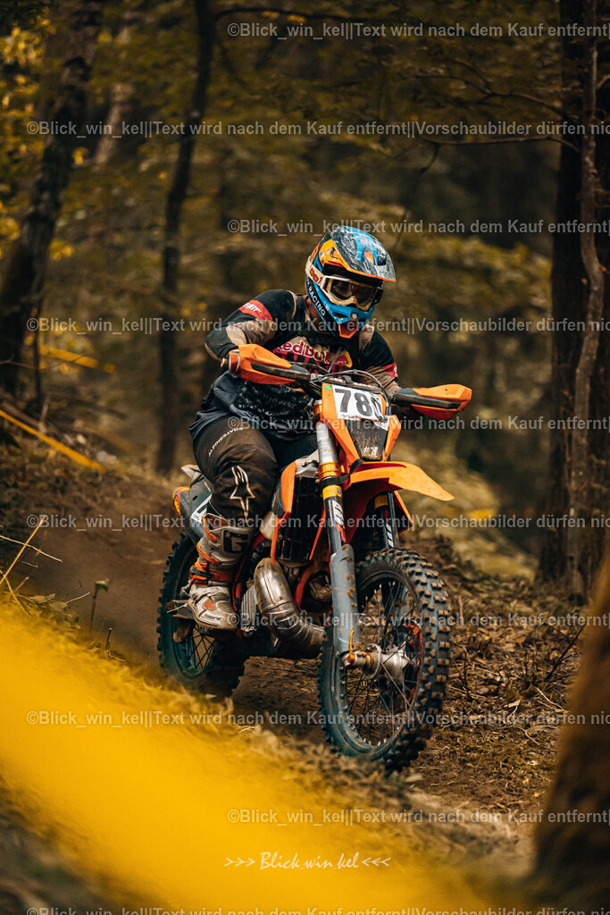 E68A5258 | blick_win_kel