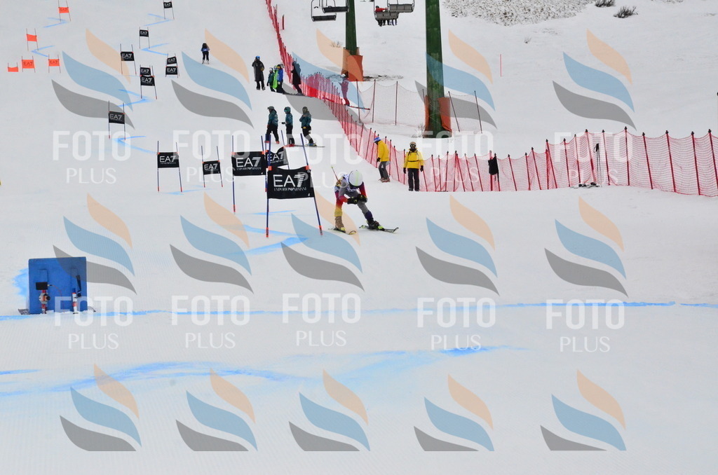 _ELE3835 | holidayphoto