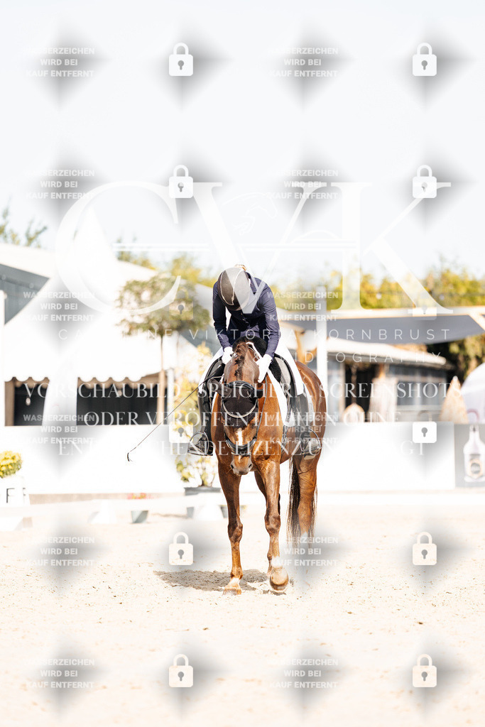 CK905222 | Turnierfotografie Pferdefotografie Trier Rheinland-Pfalz Pferdesport Reitsport Tierfotografie Sportfotografie Pferdevideo Pferdevideografie Equestrianvideography equestrianphotography  - Realisiert mit Pictrs.com