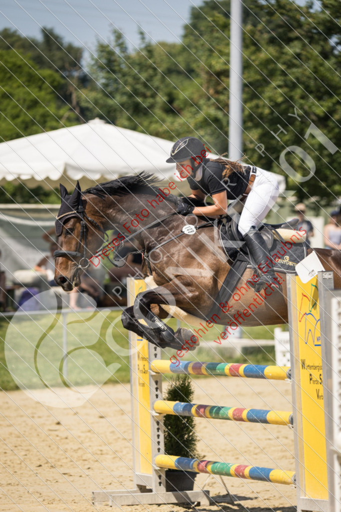 IMG_9716 | Sport-, Event- und Tierfotos in Profiqualität. Einfach auswählen, bestellen und herunterladen. Dein Moment – perfekt festgehalten.