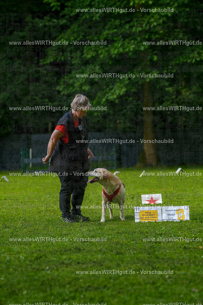 @allesWIRTHgut_Tierfotografie - www.allesWIRTHgut.de - 7R502246 | Professionelle Tierfotografie in Mönchengladbach von Daniel Wirth (allesWIRTHgut). Liebevolle & natürliche Bilder von Hunden & Katzen für unvergessliche Erinnerungen.