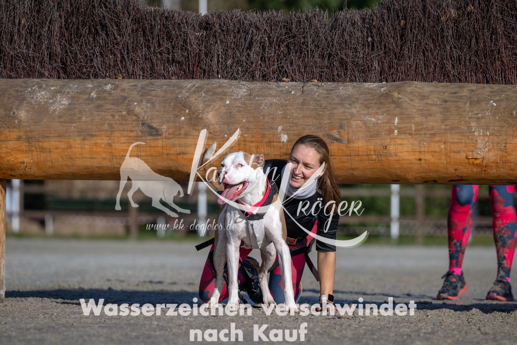 1050-_ZZ92924 | kk-dogfotos