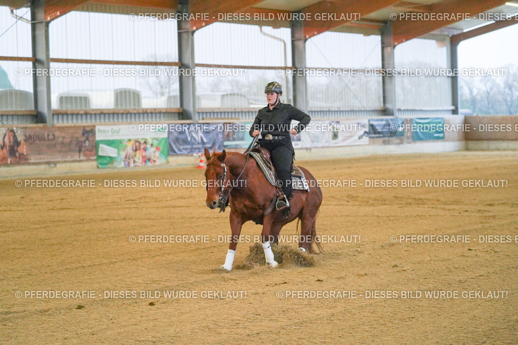 DSC09303 | Pferdegrafie