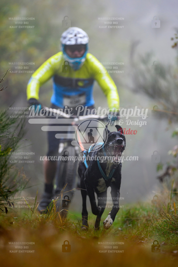 MompixPhotography_20TSB_E4_Bike-94 | PayLife