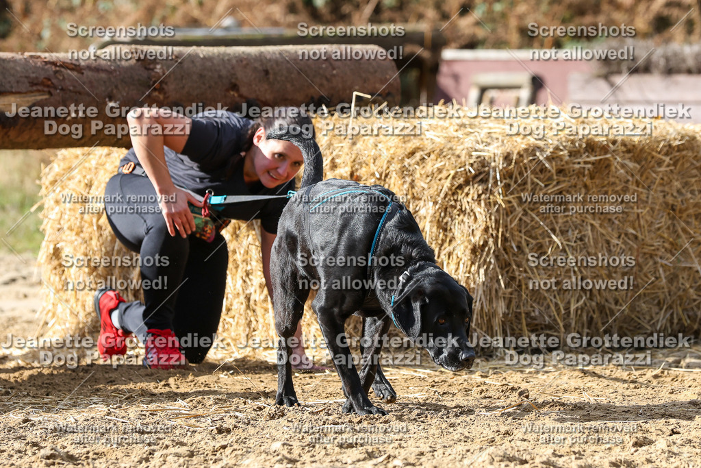 Dog Paparazzi - Strongdog 10-25-5070 | Dog Paparazzi Jeanette Grottendiek Fotografie & Videografie - Realisiert mit Pictrs.com