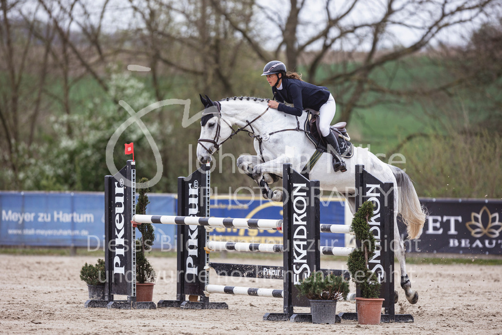 250417_Springpferde-L2-333 | Deine schönsten Turniermomente als professionelle Fotos! Entdecke hochwertige Pferdesport-Fotografie im Online-Shop. Jetzt Fotos finden & bestellen!