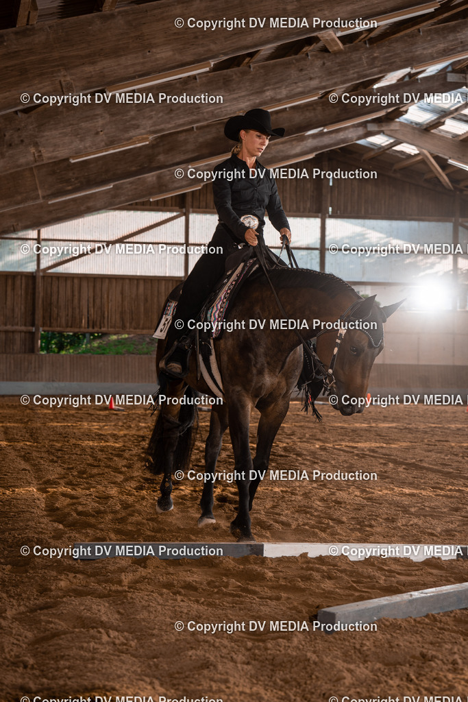 NE101210 | dv-media-shop - Realisiert mit Pictrs.com