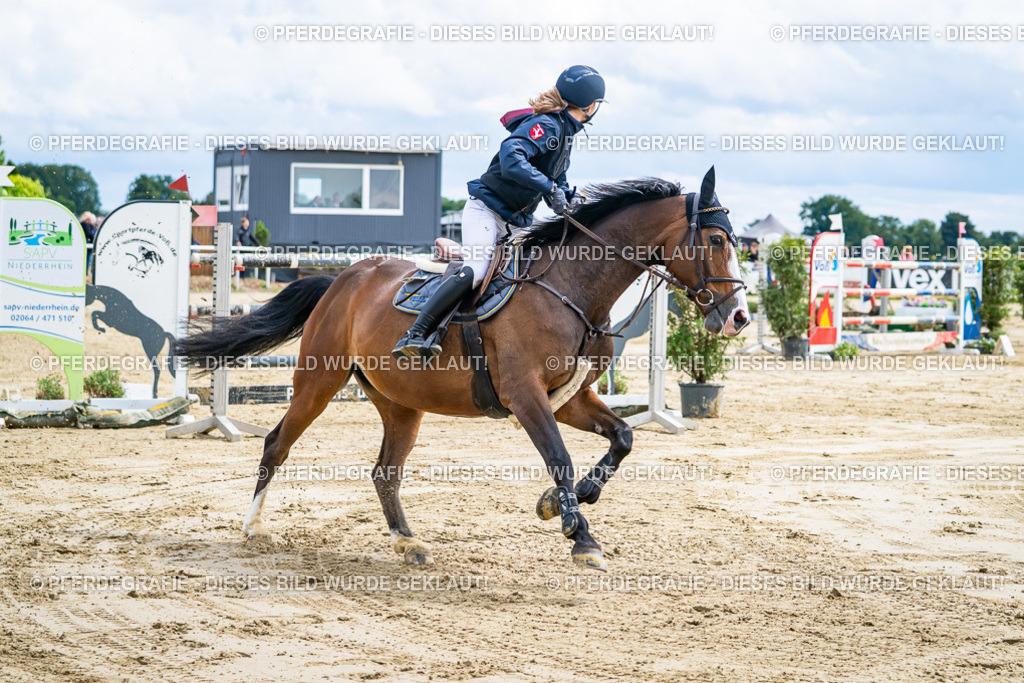 DSC05600 | Pferdegrafie