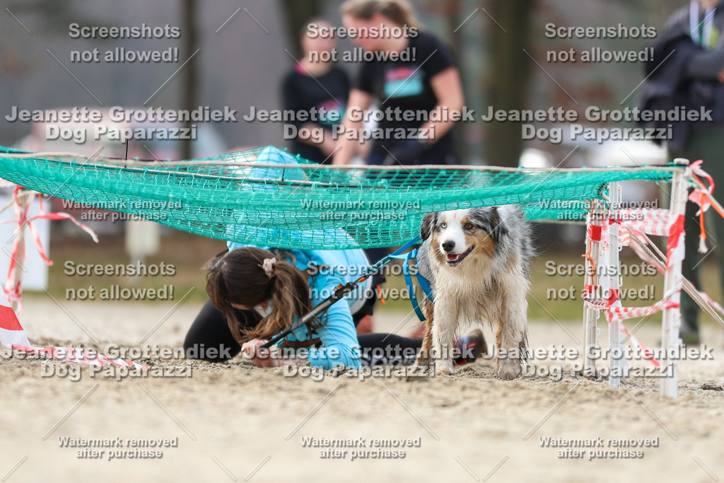 Dog Paparazzi - Strongdog North Mrz26-5181 | Dog Paparazzi Jeanette Grottendiek Fotografie & Videografie - Realisiert mit Pictrs.com