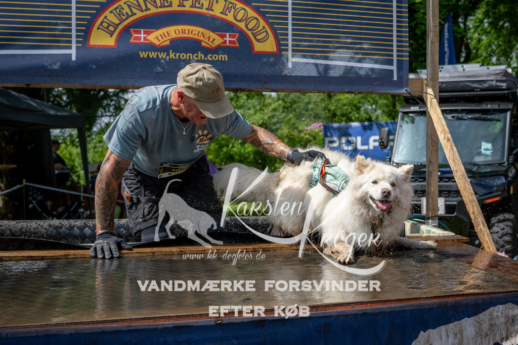 1105_ZZ92760 | kk-dogfotos