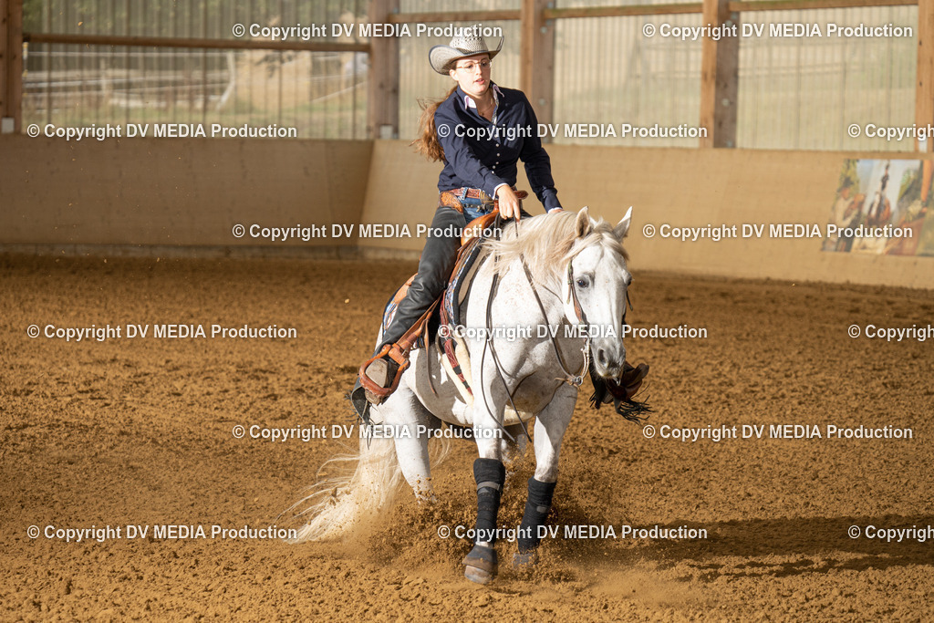 LAU01386 | dv-media-shop - Realisiert mit Pictrs.com