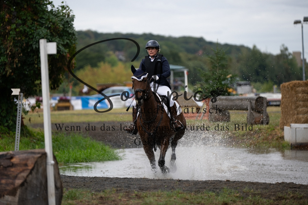 A7V00135 | Pferdefotograf