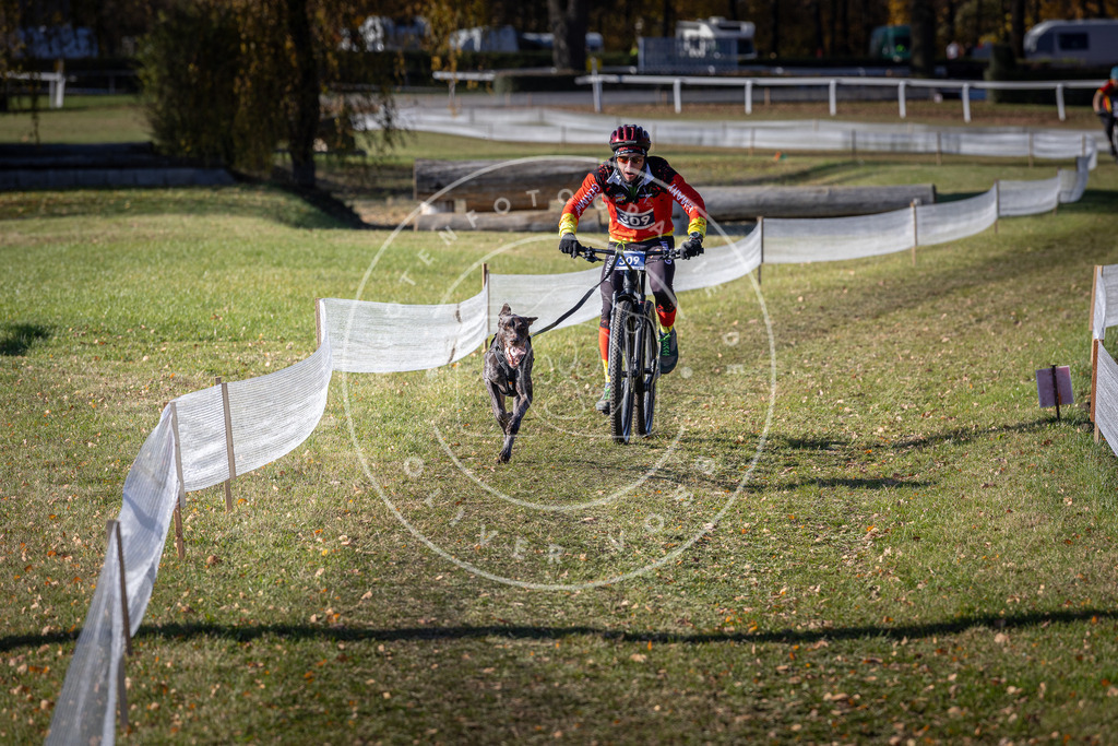 CaniXpix_DV3A6254 | Hundefotografie, Tierfotograf, Pfotenfotografie, Fotoshooting Hund, Hunde Portrait, Hundesport, Hundeportraits, Heideshooting, Hunde, Sportfotograf, Hundefotograf, Turnierhundsport, THS,  - Realisiert mit Pictrs.com