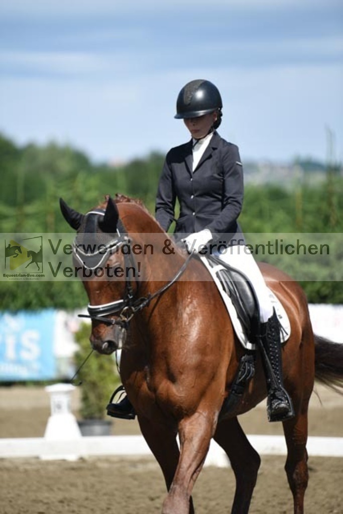 DSC_9802 | equestrian-live-com