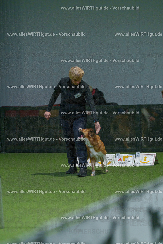 7R505460 | Professionelle Tierfotografie in Mönchengladbach von Daniel Wirth (allesWIRTHgut). Liebevolle & natürliche Bilder von Hunden & Katzen für unvergessliche Erinnerungen.