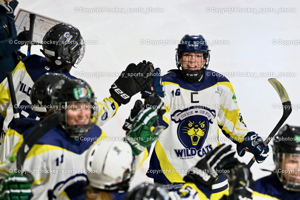 LADY HAWKS vs. WILDCATS PATERNION | #16 Anton Sandra WILDCATS PATERNION, LADY HAWKS vs. WILDCATS PATERNION, LADY HAWKS vs. WILDCATS PATERNION am 12.03.2025 in Steindorf (Ossiachersee Halle), Austria, (Photo by Bernd Stefan)