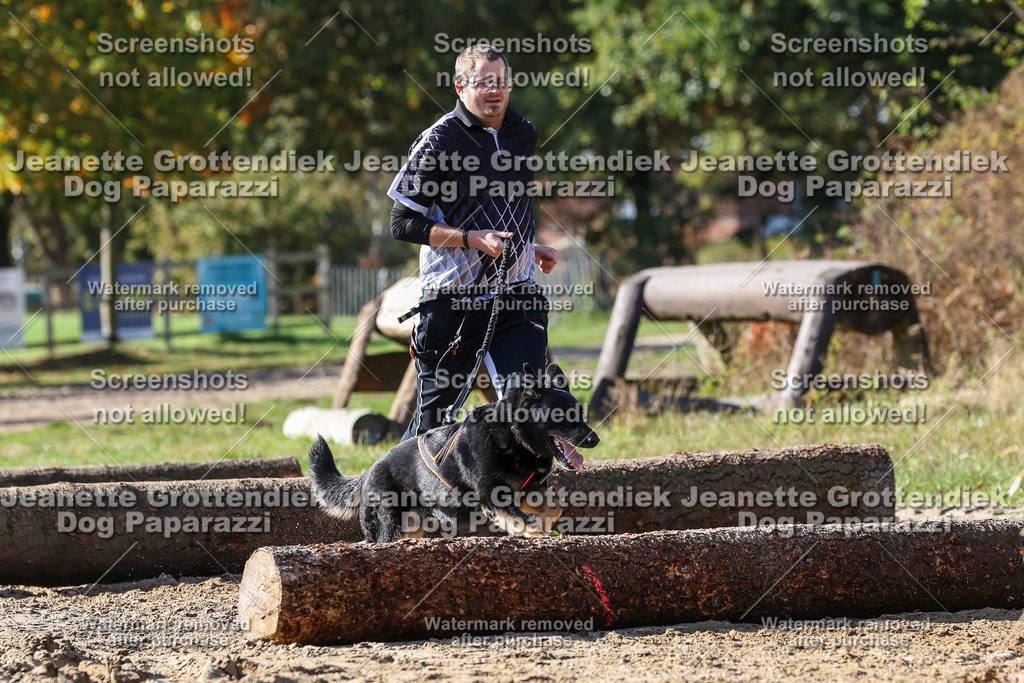 Dog Paparazzi - Strongdog 10-25-4805 | Dog Paparazzi Jeanette Grottendiek Fotografie & Videografie - Realisiert mit Pictrs.com