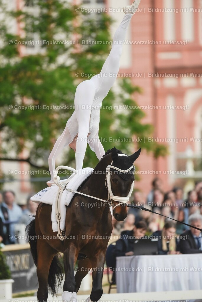 20230527_Voltigieren_NASPA_Flutlicht_0147 | equistock