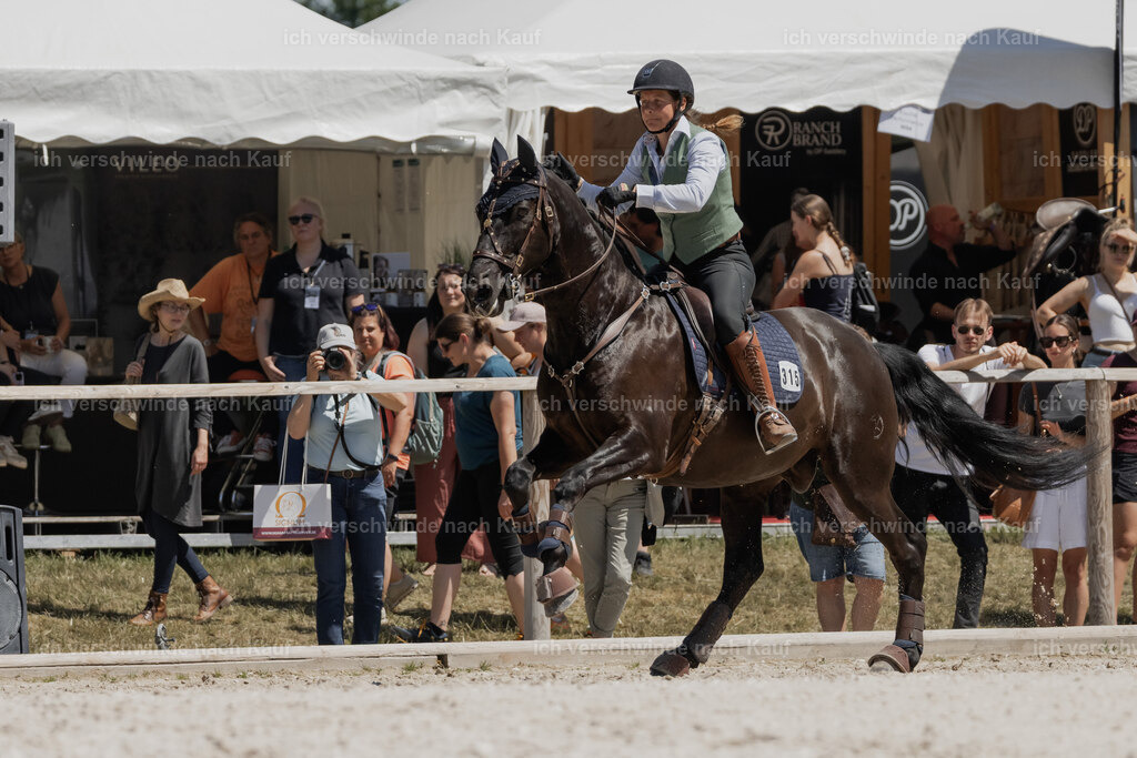 WE_SP_Stoib_315_PI2025_1862 | Pferd International München 2025
