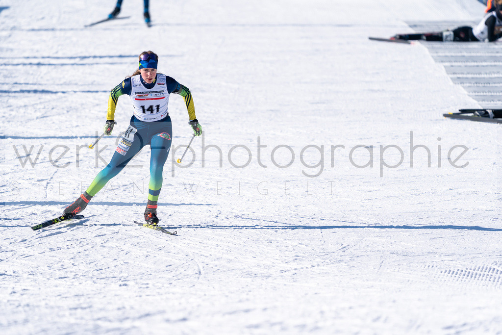 DSC Arber | Bayerischer Wald am 9. bis 12. Februar 2023
