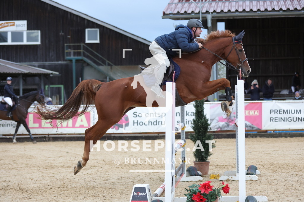 0P6A7117 | Willkommen bei Brunnmayr - Design & Fotografie – Ihrem Spezialisten für Reitturniere und Pferdeveranstaltungen in Oberösterreich, Salzburg und Bayern! Seit über 17 Jahren sind wir leidenschaftlich dabei.