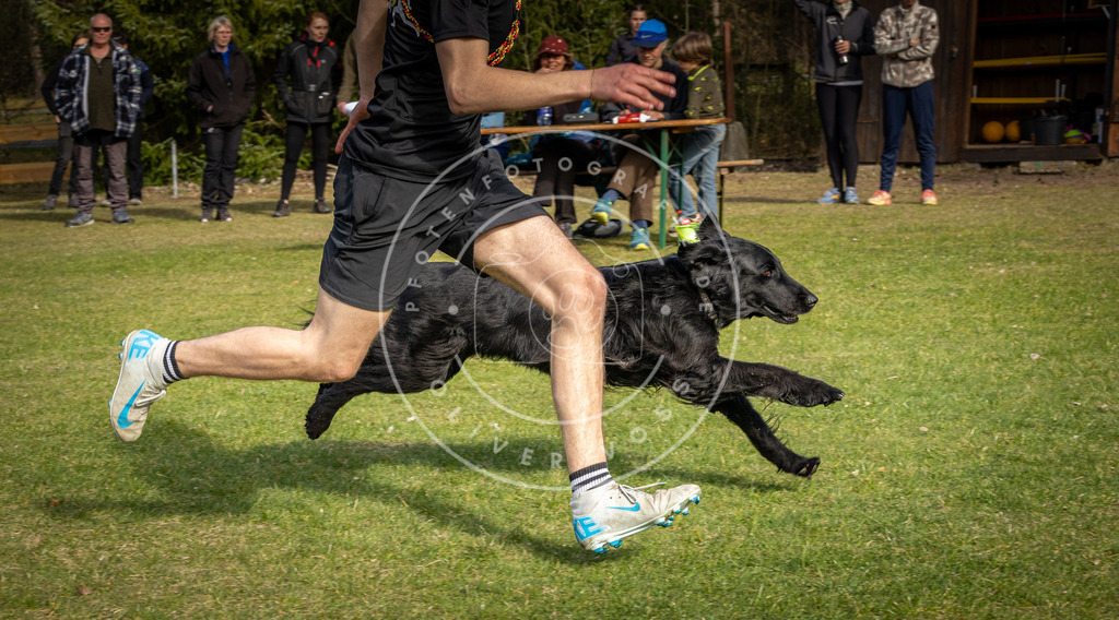 Pfotenfotografie_DV3A3778 | Hundefotografie, Tierfotograf, Pfotenfotografie, Fotoshooting Hund, Hunde Portrait, Hundesport, Hundeportraits, Heideshooting, Hunde, Sportfotograf, Hundefotograf, Turnierhundsport, THS,  - Realisiert mit Pictrs.com