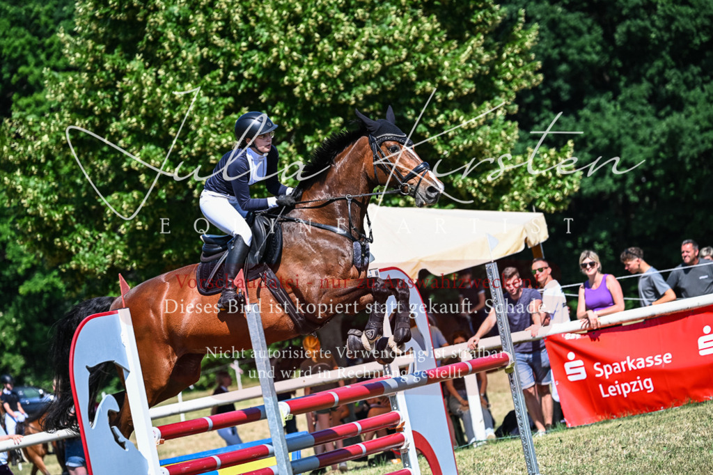 DSC_1547 | Pferde- und Turnierfotografie in Westsachsen. Pferdeportraits, Auftragszeichnungen und intuitive Kunst.