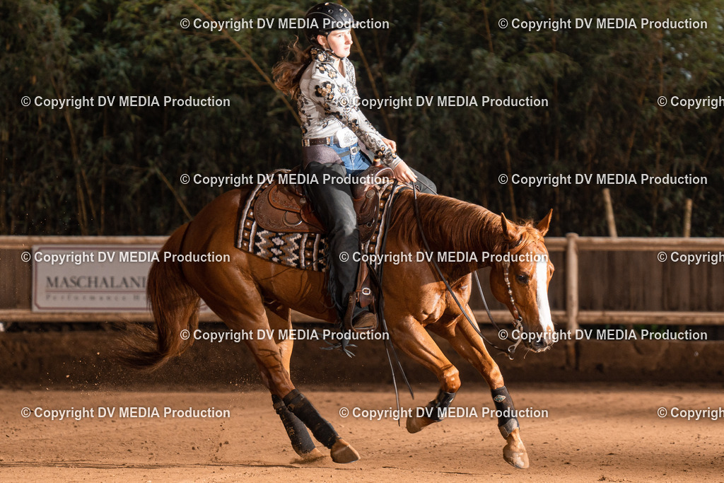 Erbach Tag 3-866 | dv-media-shop - Realisiert mit Pictrs.com