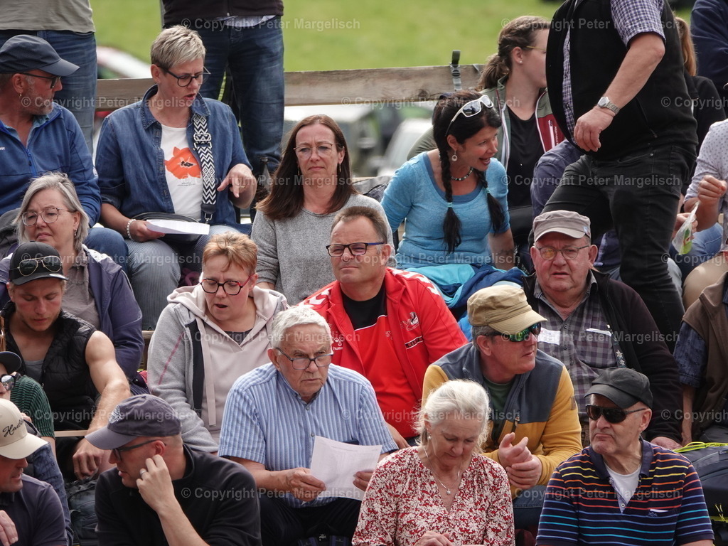 DSC07239 | Schwingen - Realisiert mit Pictrs.com