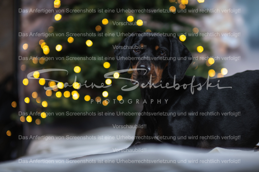 DSCF4385 | People- und Tierfotografie, Imageaufnahmen, Veranstaltungsfotografie und Wandbilder aus der Natur ★ Made in Germany ✔️ Druck + Downloads ✔️ Naturfotografie in Top Qualität ★ schneller Versand, weltweite Lieferung! - Realisiert mit Pictrs.com