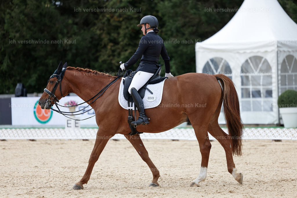 3-049-Dressur M_-StoibPH-2292 | working equitationturnier fotograf videograf stoibphotography marixx film working equitation deutschland reitsport turnierfotografie eventfotografie equestrian events