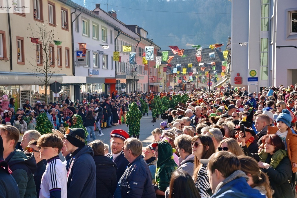 FaSoUmzug-052-RA | Fotoblog Schwarzwald, Foto Blog Wiesental, Pfaffenberg, Winterzauber, Zeller Bergland, Zell im Wiesental, Fotoblog Wiesental, Landschaftsfotos, Bilder Wiesental, Natur, Naturbilder, Fastnacht, Zeller Fastnacht, Zeller Fasnacht, Zeller Bergland, Belchen, - Realisiert mit Pictrs.com