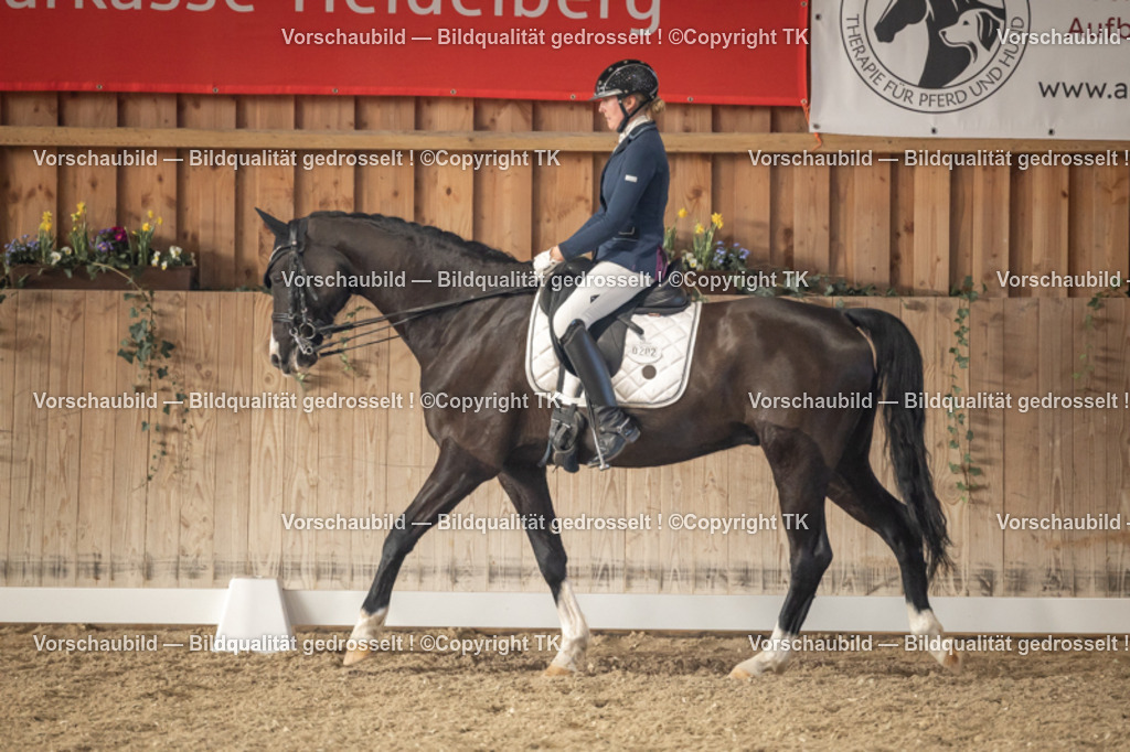 _D5A3036 | Emotionale Pferde- & People-Fotografie rund um Heidelberg, Leimen & Umgebung. Natürliche Fotos von Pferd, Mensch & Familie. Jetzt Termin sichern!