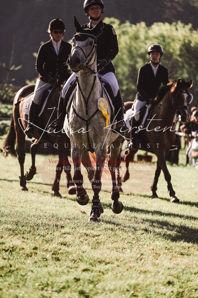 DSC_4663 | Pferde- und Turnierfotografie in Westsachsen. Pferdeportraits, Auftragszeichnungen und intuitive Kunst.