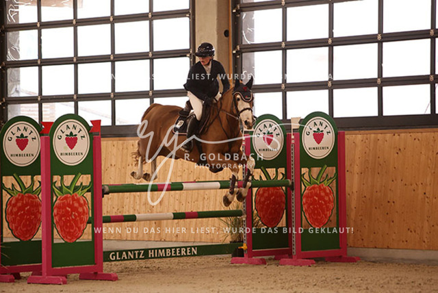 1J2A4450Lilli Plath_ Butler of Picobello Z_ Kn039_ Hohen Wieschendorf_ Glantz | Foto- und Videografie für alles rund ums Pferd. Hochwertige Bilder und Videos vom Spring- und Dressurreiten, Voltigieren & mehr. Jetzt aktuelle Veranstaltungen und Preise im Shop ansehen. - Realisiert mit Pictrs.com