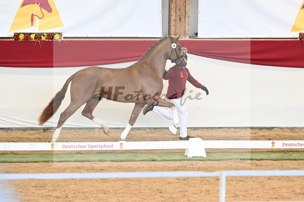 Kat.-Nr. 68 v. Juwel_Westhoff _ Rothenberger_3260814 | hf-fotografie - Realizzato con Pictrs.com