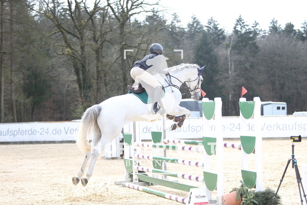 DL2Q2390 | Willkommen bei Brunnmayr - Design & Fotografie – Ihrem Spezialisten für Reitturniere und Pferdeveranstaltungen in Oberösterreich, Salzburg und Bayern! Seit über 17 Jahren sind wir leidenschaftlich dabei.