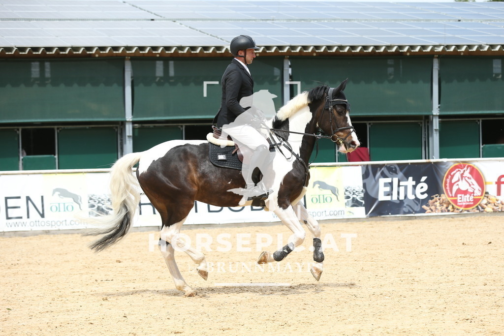 DL2Q6203 | Willkommen bei Brunnmayr - Design & Fotografie – Ihrem Spezialisten für Reitturniere und Pferdeveranstaltungen in Oberösterreich, Salzburg und Bayern! Seit über 17 Jahren sind wir leidenschaftlich dabei.