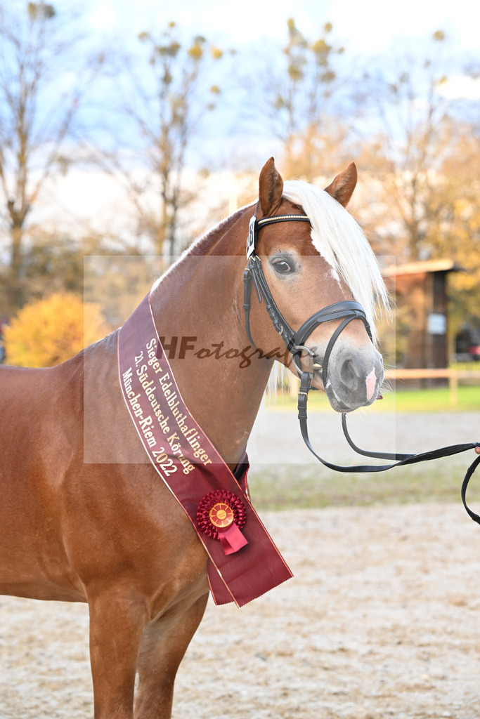 Kat-Nr. 28 Napoleon v. Nakuri_Lechner_60221862 | hf-fotografie - Realisiert mit Pictrs.com