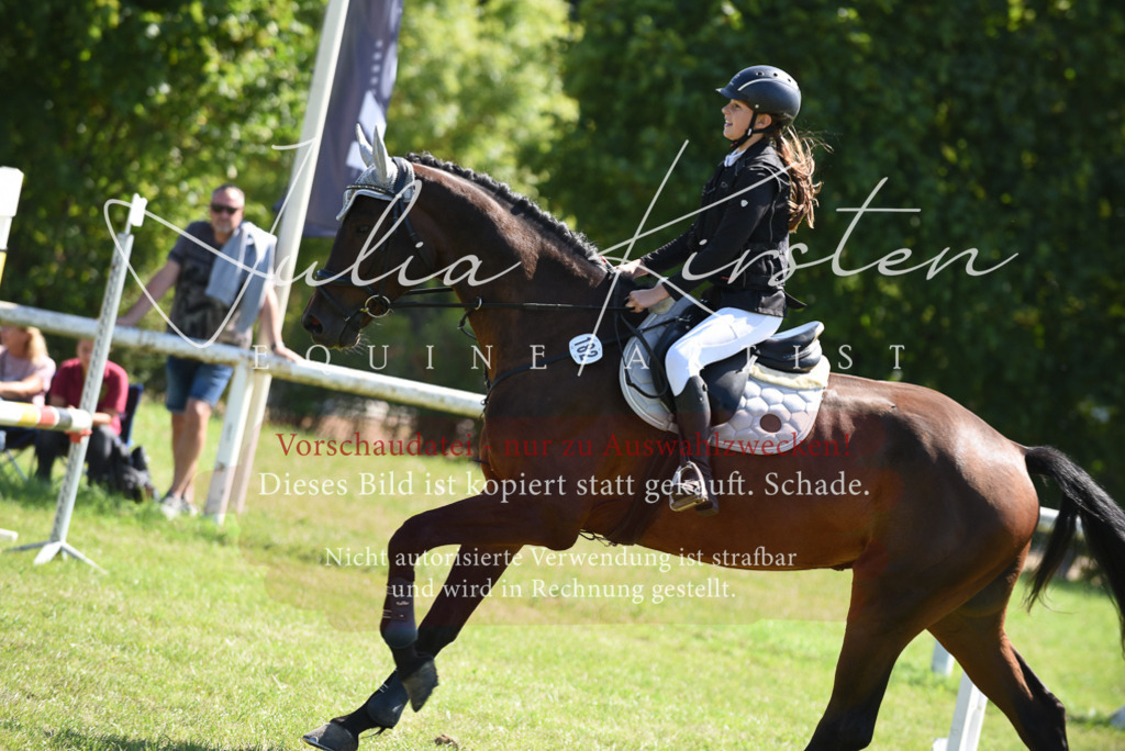 DSC_9451 | Pferde- und Turnierfotografie in Westsachsen. Pferdeportraits, Auftragszeichnungen und intuitive Kunst.