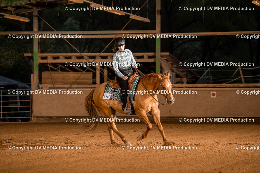 BA301421 | dv-media-shop - Realisiert mit Pictrs.com