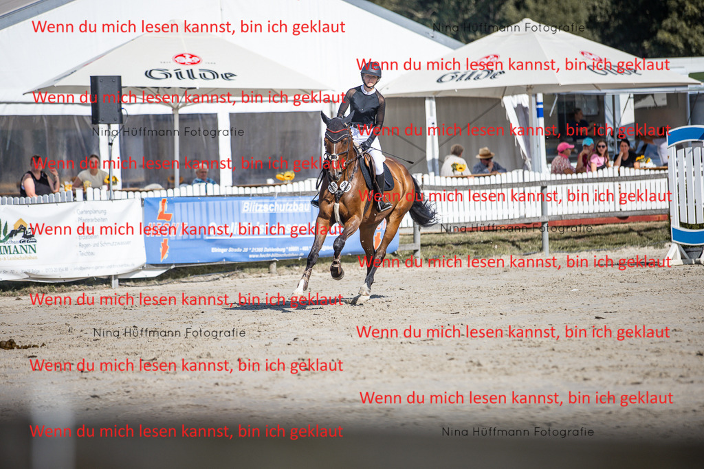 BK1A7143 | Turnierbilder Turnierfotos Nina Hüffmann Turnierfotografie Pferdefotografie Tierzeichnung Haustierzeichnung Pferdezeichnung Hundezeichnung Videograf  - Realisiert mit Pictrs.com