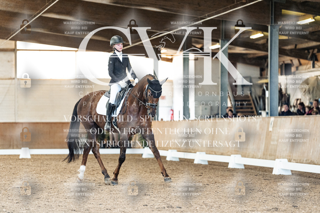 CK909519 | Turnierfotografie Pferdefotografie Trier Rheinland-Pfalz Pferdesport Reitsport Tierfotografie Sportfotografie Pferdevideo Pferdevideografie Equestrianvideography equestrianphotography  - Realisiert mit Pictrs.com