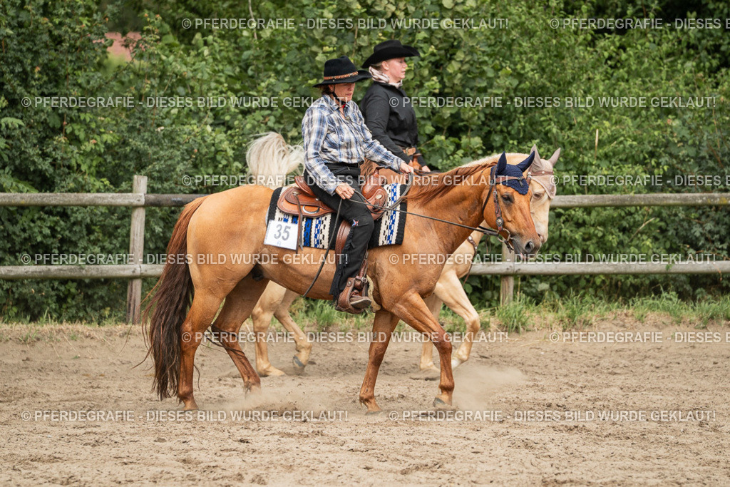 DSC03401 | Pferdegrafie