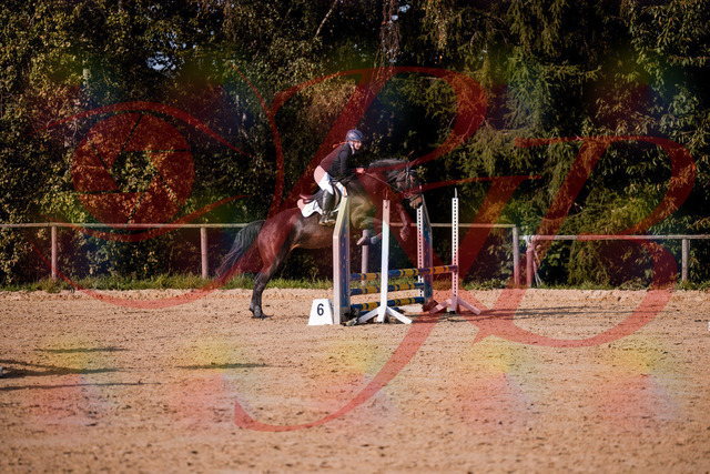 2026_10_03_Siefer-Hof_155001_Z81_68960962 | Professionelle Reitsport-, Turnier- und Eventfotografie von Robert Broda. Galerien mit ausgewählten und bearbeiteten Bildern direkt online ansehen und bestellen.