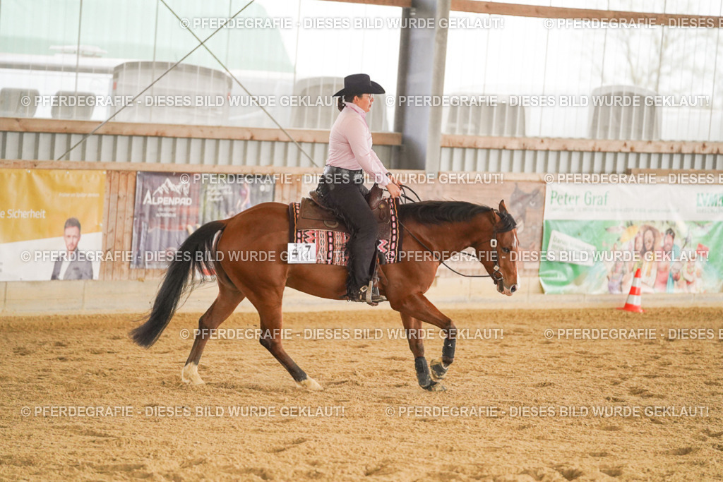 DSC00197 | Pferdegrafie