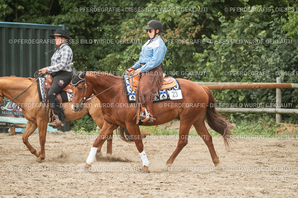 DSC03180 | Pferdegrafie